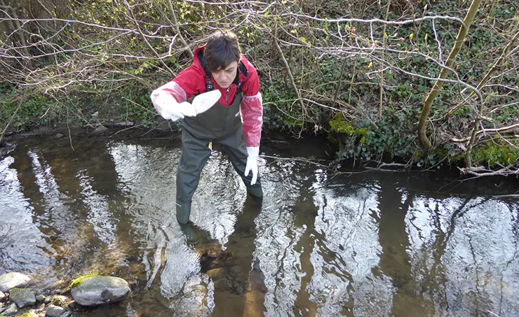 Strategy for assessing sediment quality in Switzerland