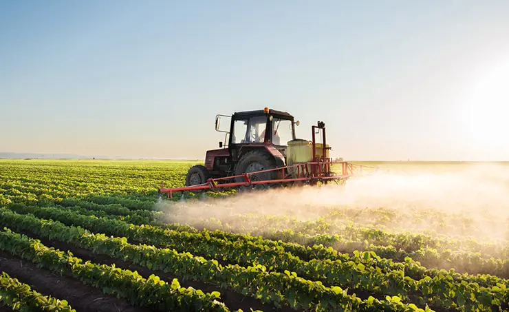 Climate change and pesticides