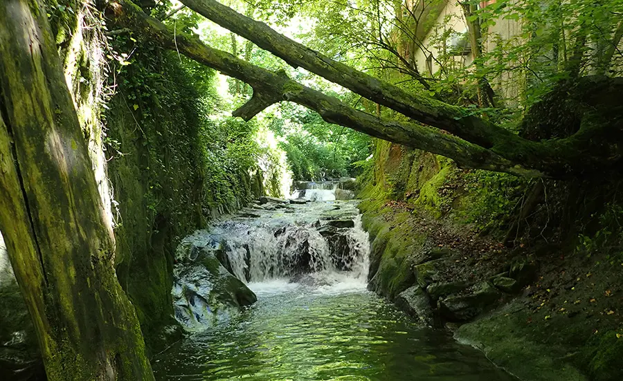 Assessment of the water quality of the Vuachère in Lausanne